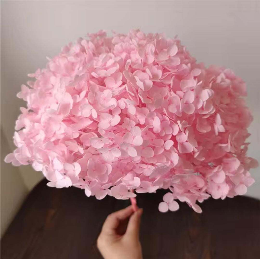 Bakewareind Dried Hydrangeas Leaves Preserved, Pink - Bakeware India