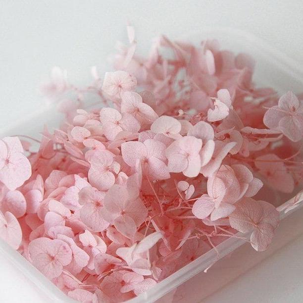 Bakewareind Dried Hydrangeas Leaves Preserved, Pink - Bakeware India