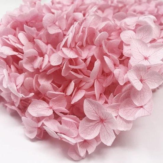 Bakewareind Dried Hydrangeas Leaves Preserved, Pink - Bakeware India