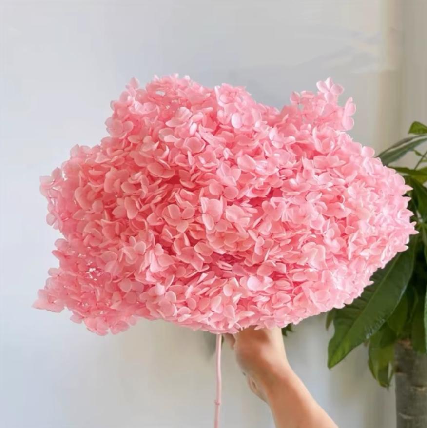 Bakewareind Dried Hydrangeas Leaves Preserved, Pink - Bakeware India
