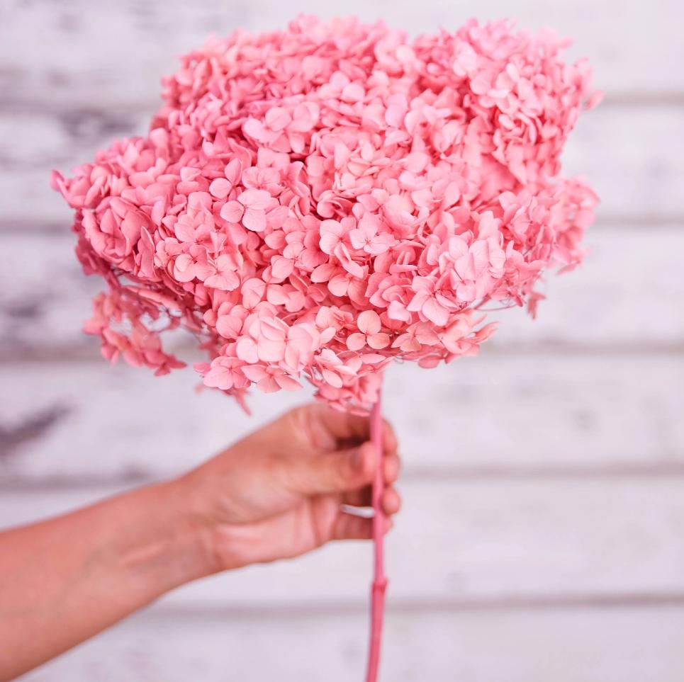Bakewareind Dried Hydrangeas Leaves Preserved, Pink - Bakeware India