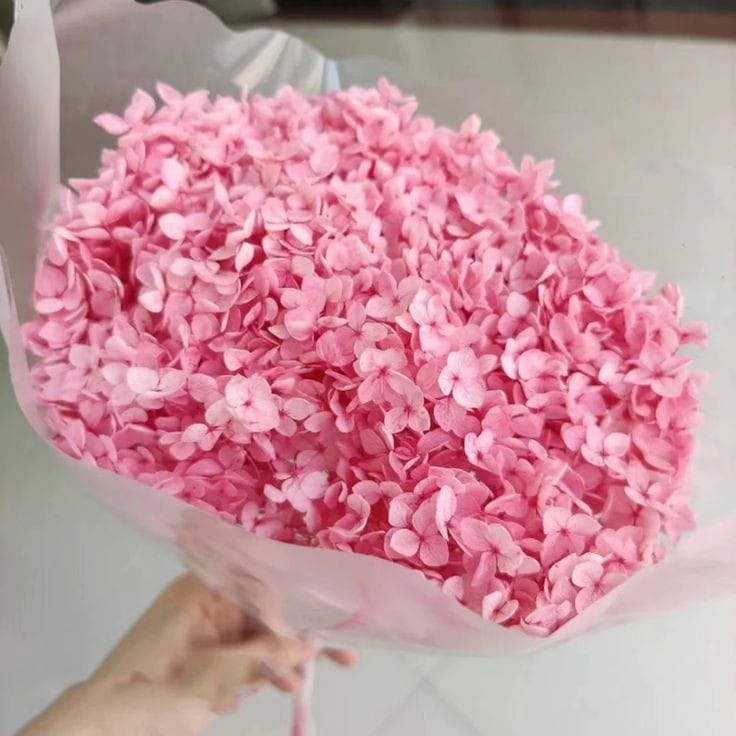 Bakewareind Dried Hydrangeas Leaves Preserved, Pink - Bakeware India