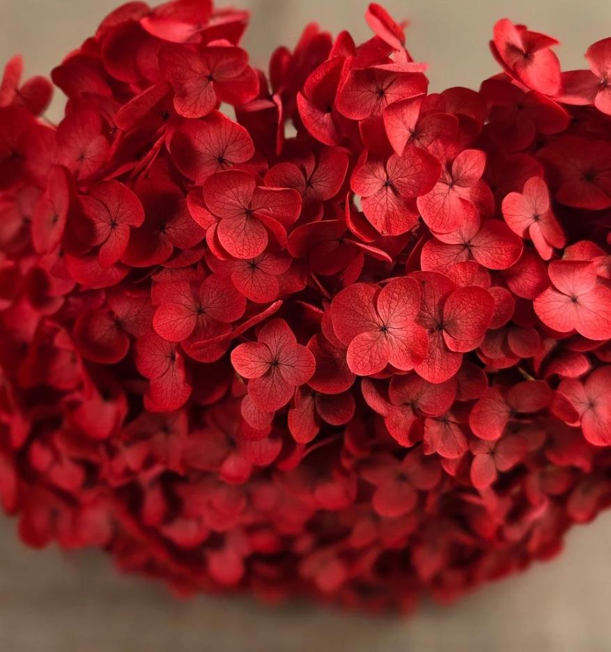 Bakewareind Dried Hydrangeas Leaves Preserved, Red - Bakeware India