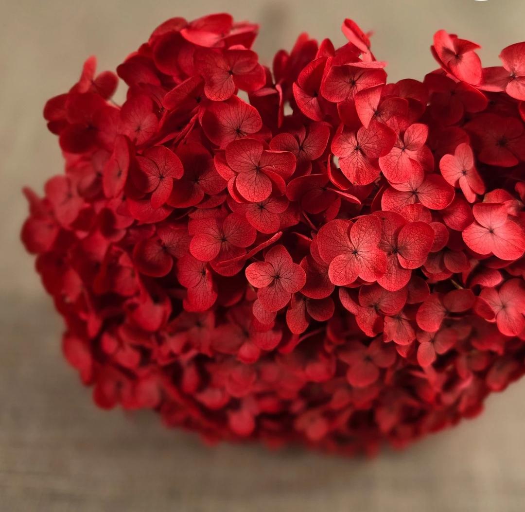 Bakewareind Dried Hydrangeas Leaves Preserved, Red - Bakeware India