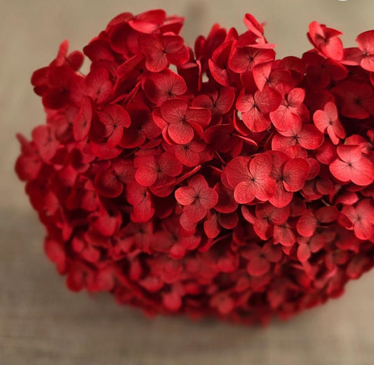 Bakewareind Dried Hydrangeas Leaves Preserved, Red - Bakeware India