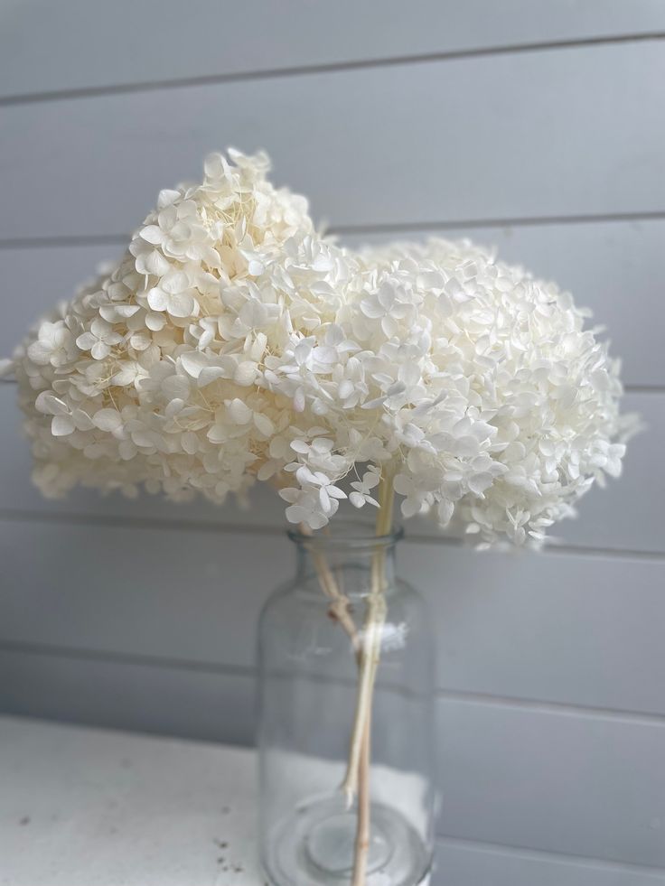 Bakewareind Dried Hydrangeas Leaves Preserved, White - Bakeware India