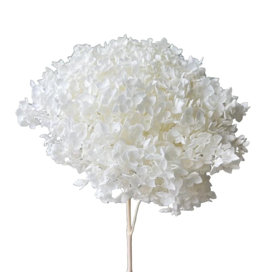 Bakewareind Dried Hydrangeas Leaves Preserved, White - Bakeware India