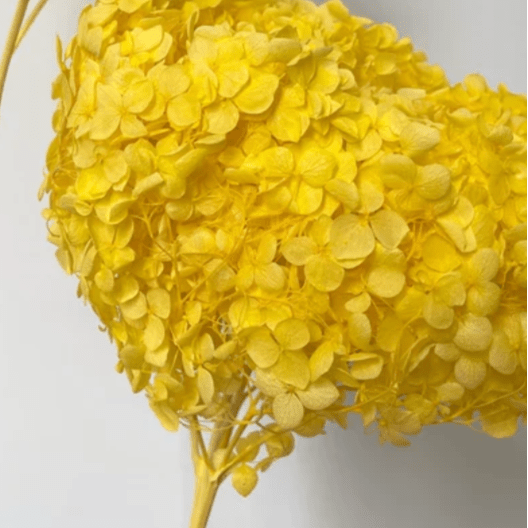 Bakewareind Dried Hydrangeas Leaves Preserved, Yellow - Bakeware India