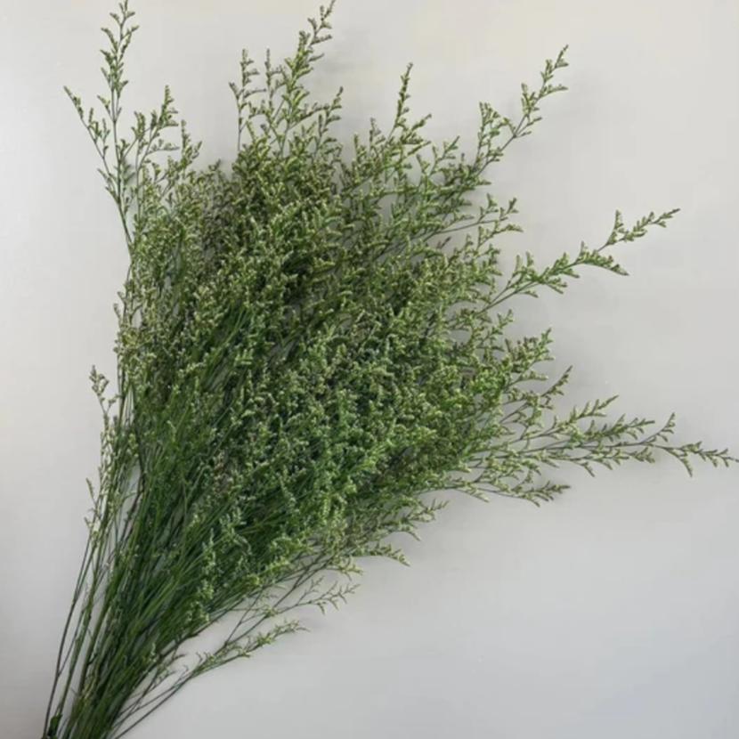 Bakewareind Dried Limonium Grass, Green - Bakeware India