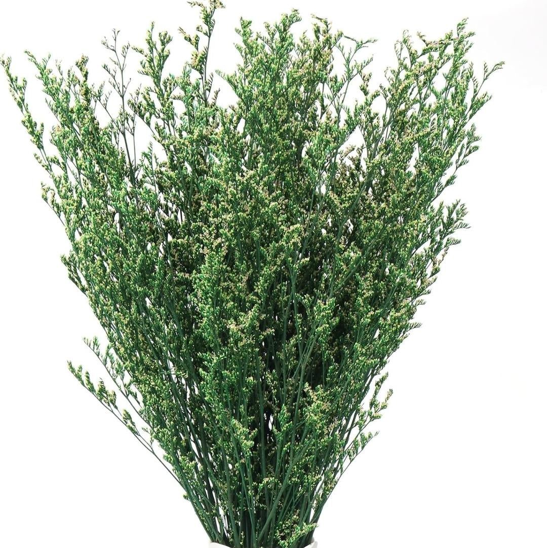 Bakewareind Dried Limonium Grass, Green - Bakeware India