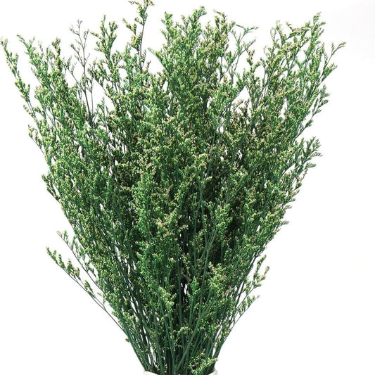 Bakewareind Dried Limonium Grass, Green - Bakeware India