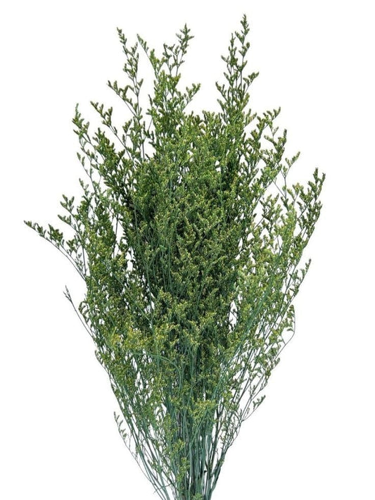 Bakewareind Dried Limonium Grass, Green - Bakeware India