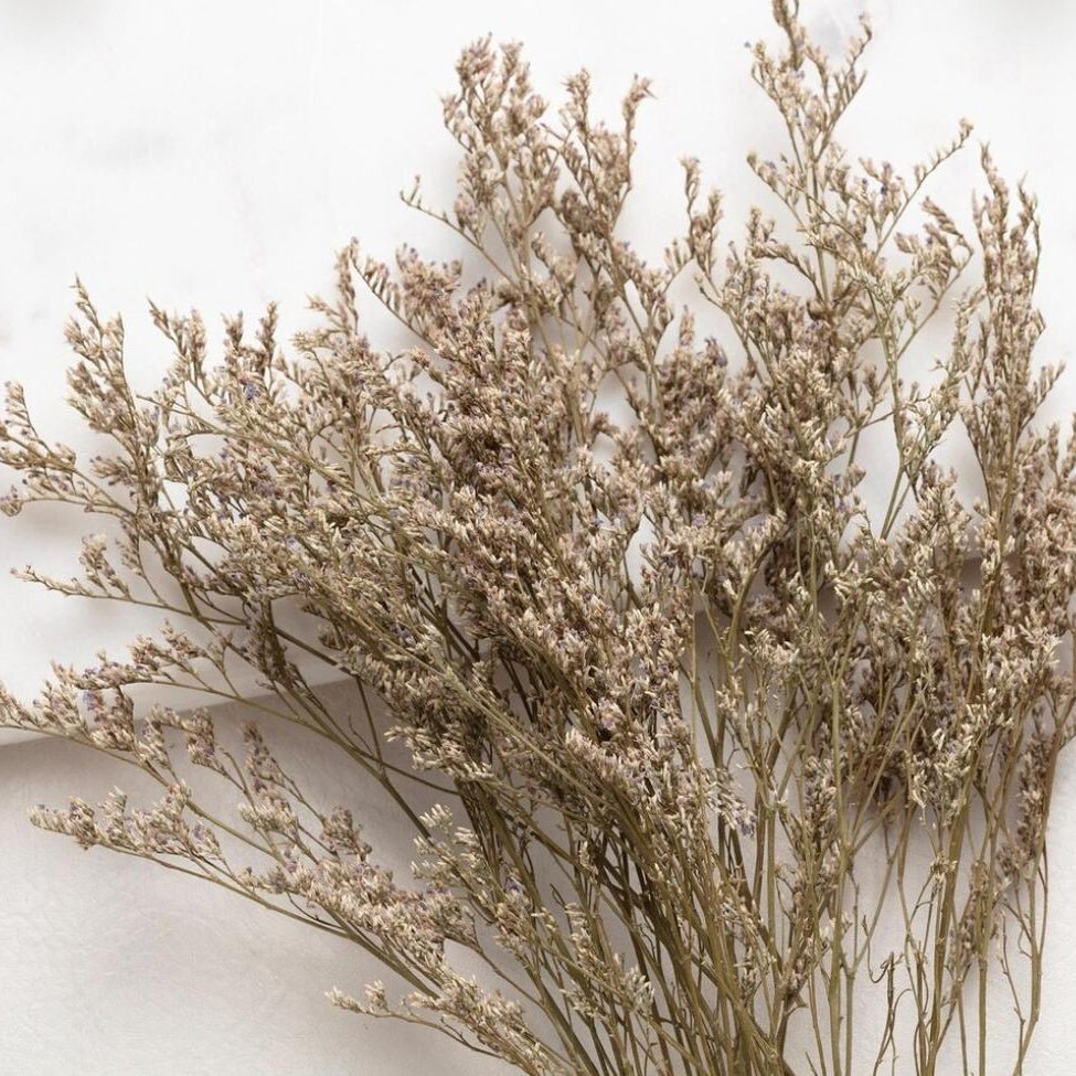 Bakewareind Dried Limonium Grass, Natural - Bakeware India