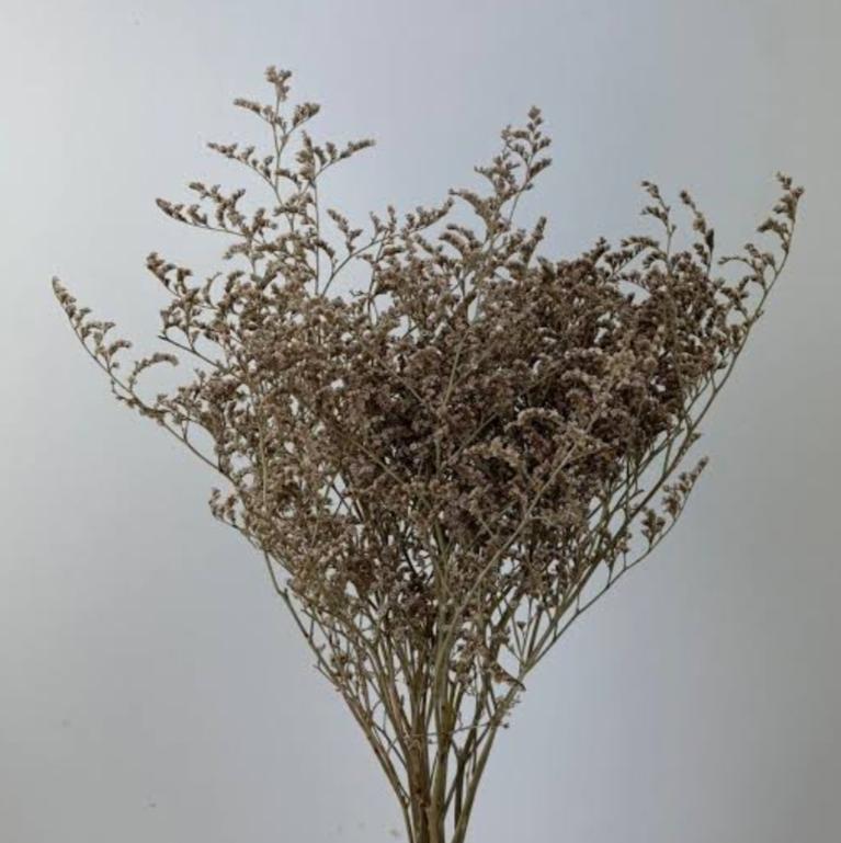 Bakewareind Dried Limonium Grass, Natural - Bakeware India