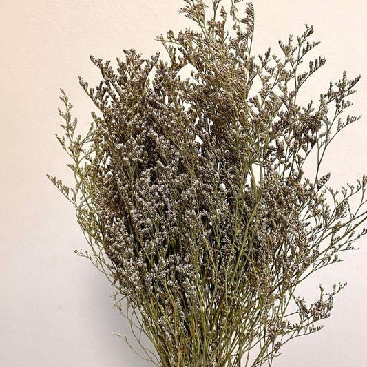 Bakewareind Dried Limonium Grass, Natural - Bakeware India