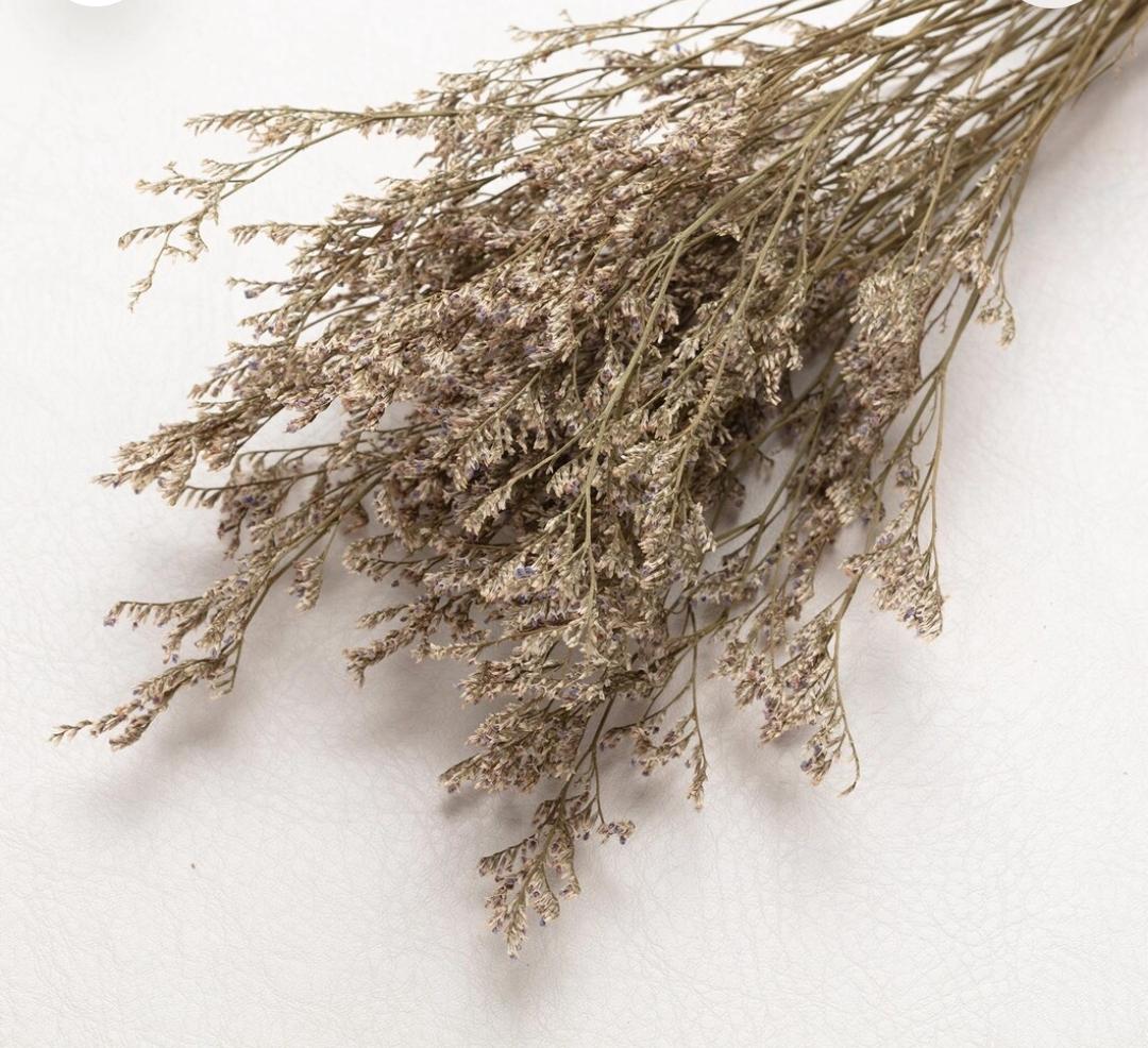 Bakewareind Dried Limonium Grass, Natural - Bakeware India