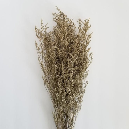 Bakewareind Dried Limonium Grass, Natural - Bakeware India