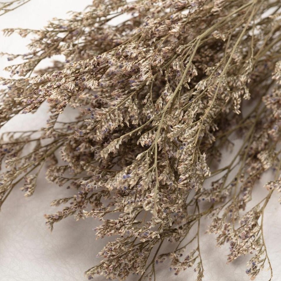 Bakewareind Dried Limonium Grass, Natural - Bakeware India