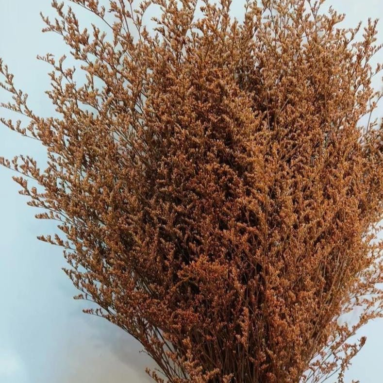 Bakewareind Dried Limonium Grass, Orange - Bakeware India