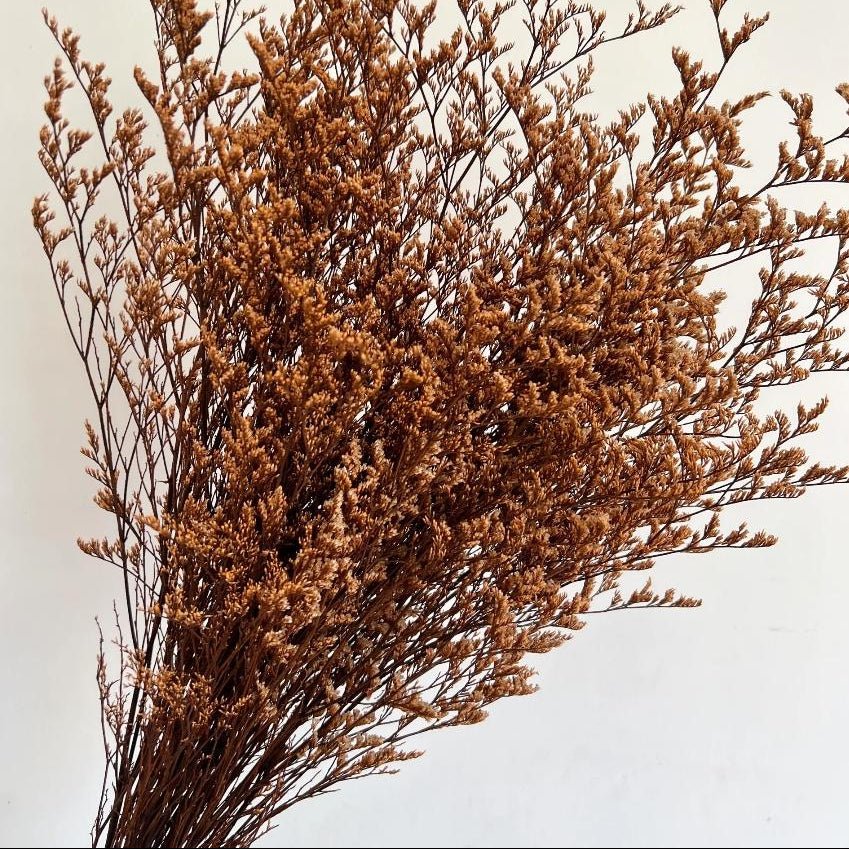 Bakewareind Dried Limonium Grass, Orange - Bakeware India
