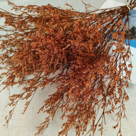 Bakewareind Dried Limonium Grass, Orange - Bakeware India