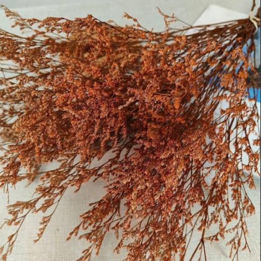 Bakewareind Dried Limonium Grass, Orange - Bakeware India
