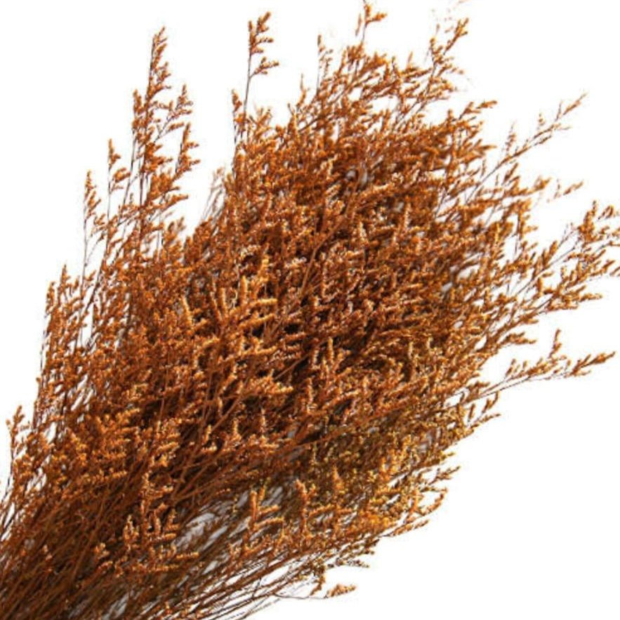 Bakewareind Dried Limonium Grass, Orange - Bakeware India