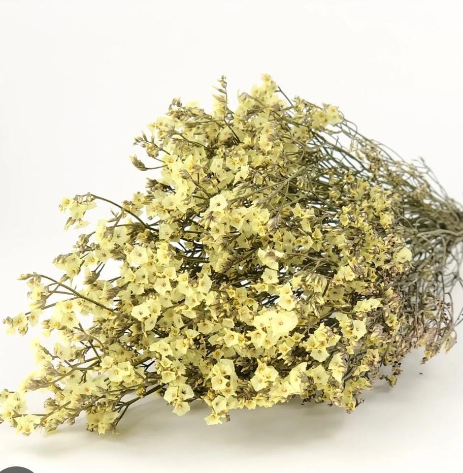 Bakewareind Dried Natural Crystal Grass, { Select Color } - Bakeware India