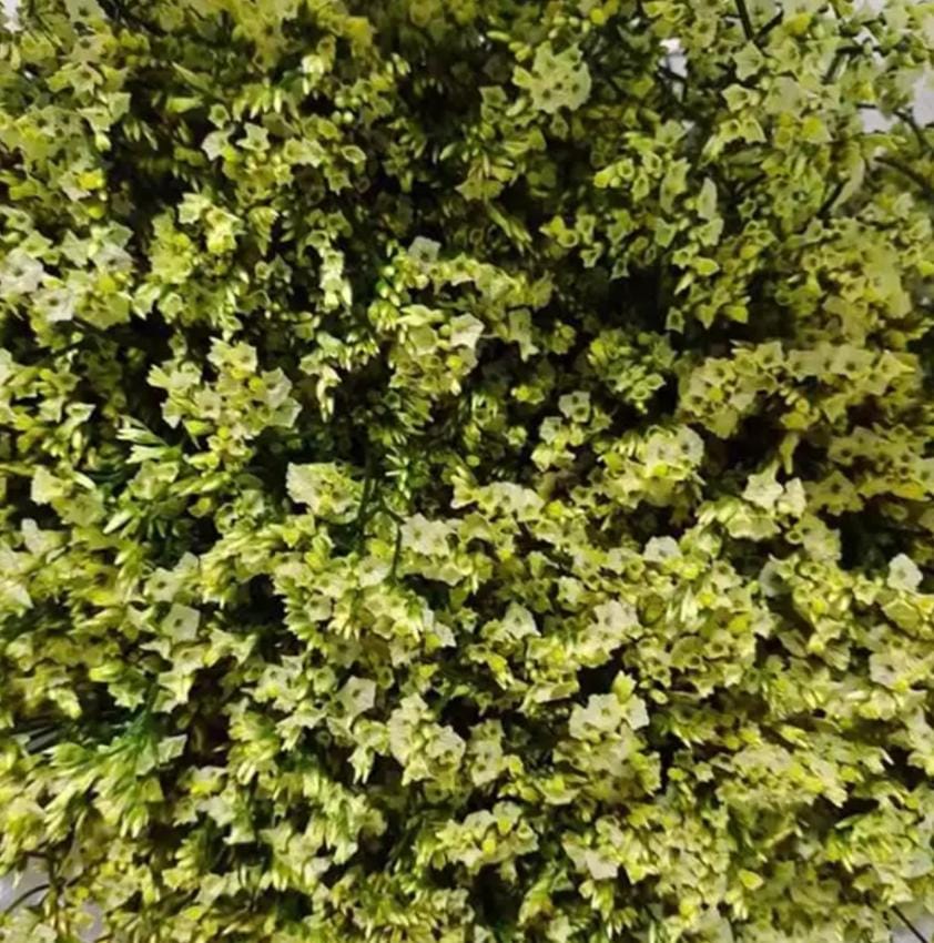 Bakewareind Dried Natural Crystal Grass, { Select Color } - Bakeware India