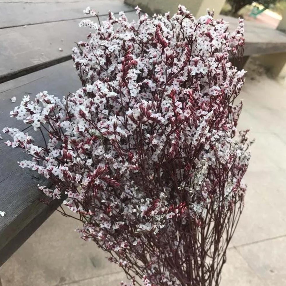 Bakewareind Dried Natural Crystal Grass, { Select Color } - Bakeware India