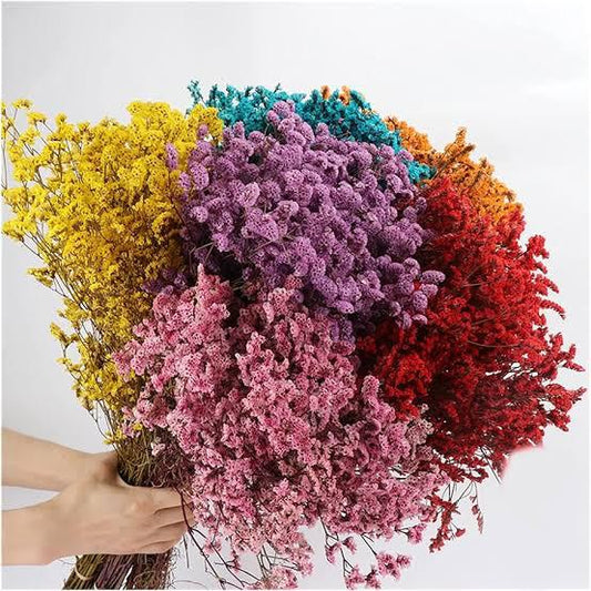 Bakewareind Dried Natural Crystal Grass, { Select Color } - Bakeware India