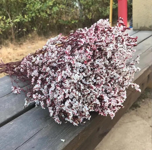 Bakewareind Dried Natural Crystal Grass, { Select Color } - Bakeware India