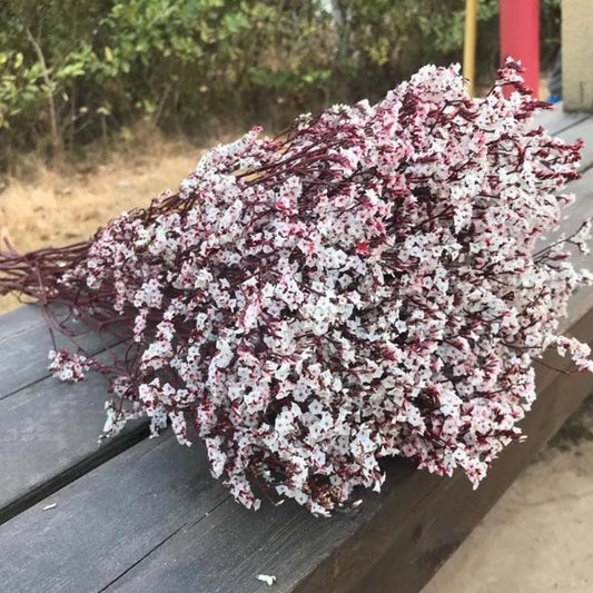 Bakewareind Dried Natural Crystal Grass, { Select Color } - Bakeware India