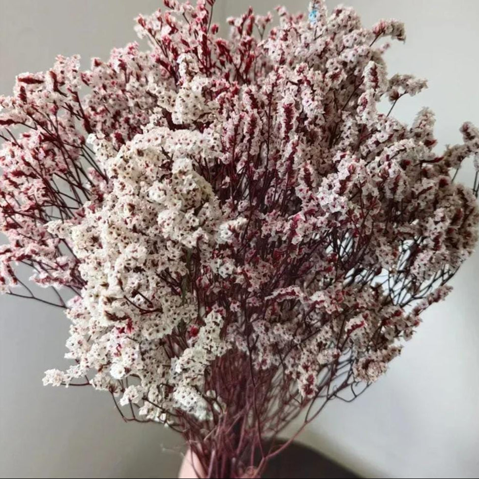 Bakewareind Dried Natural Crystal Grass, { Select Color } - Bakeware India