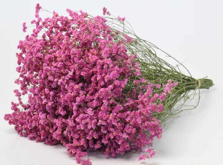 Bakewareind Dried Natural Crystal Grass, ( Select Color ) - Bakeware India