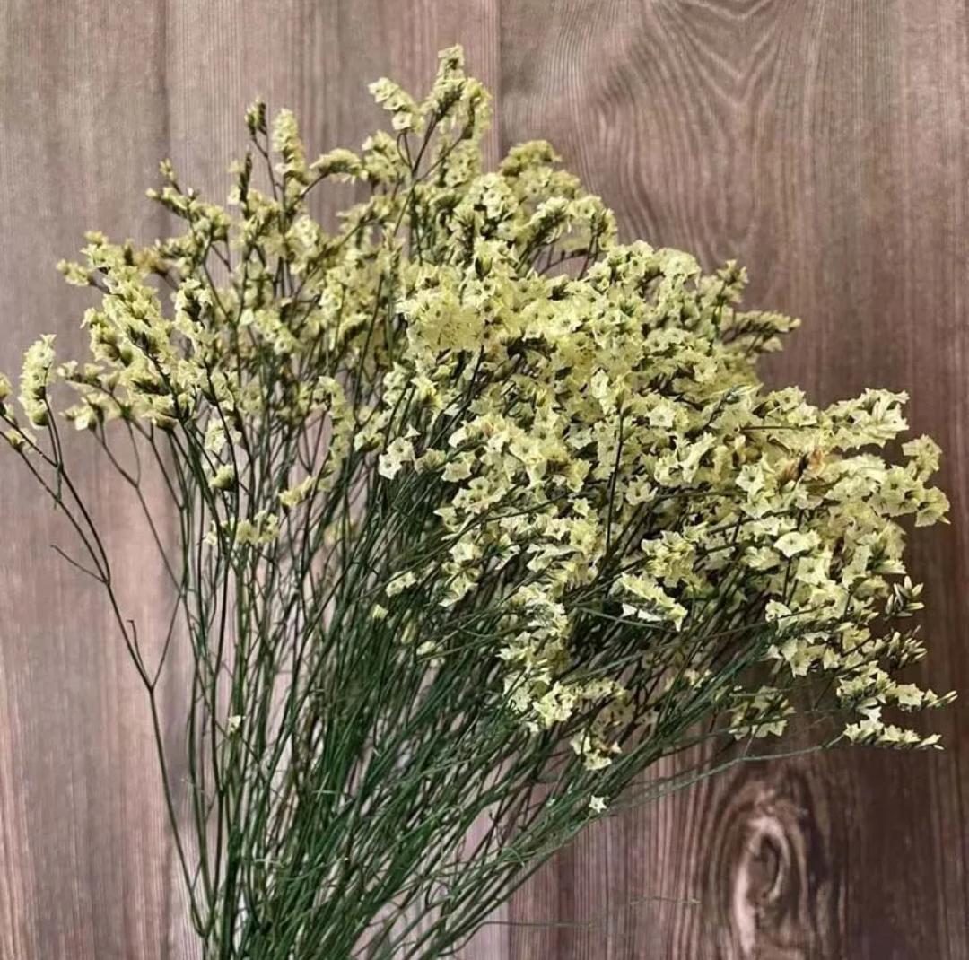 Bakewareind Dried Natural Crystal Grass, ( Select Color ) - Bakeware India