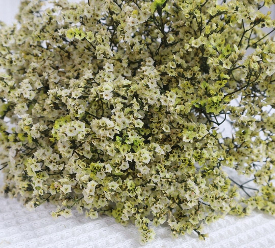 Bakewareind Dried Natural Crystal Grass, ( Select Color ) - Bakeware India