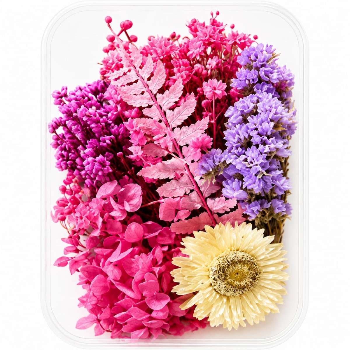 Bakewareind Dried Natural Flower Box, { Select Color } - Bakeware India