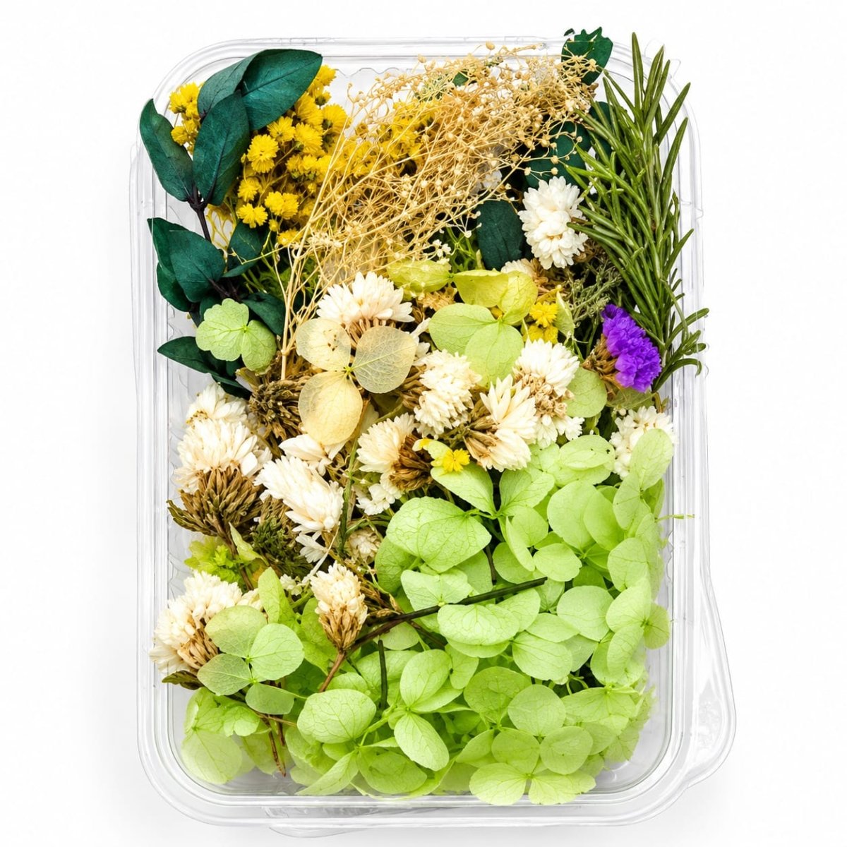 Bakewareind Dried Natural Flower Box, { Select Color } - Bakeware India