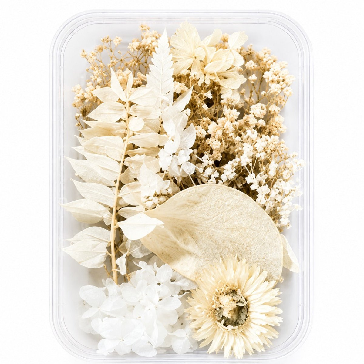 Bakewareind Dried Natural Flower Box, { Select Color } - Bakeware India