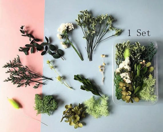 Bakewareind Dried Natural Flower Box, { Select Color } - Bakeware India