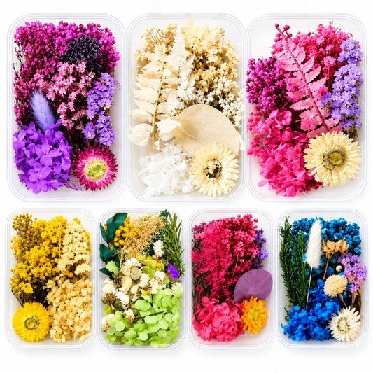 Bakewareind Dried Natural Flower Box, { Select Color } - Bakeware India