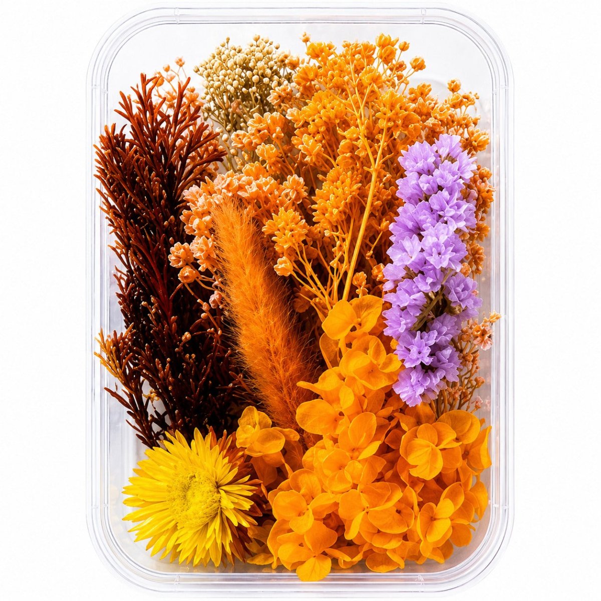 Bakewareind Dried Natural Flower Box, { Select Color } - Bakeware India