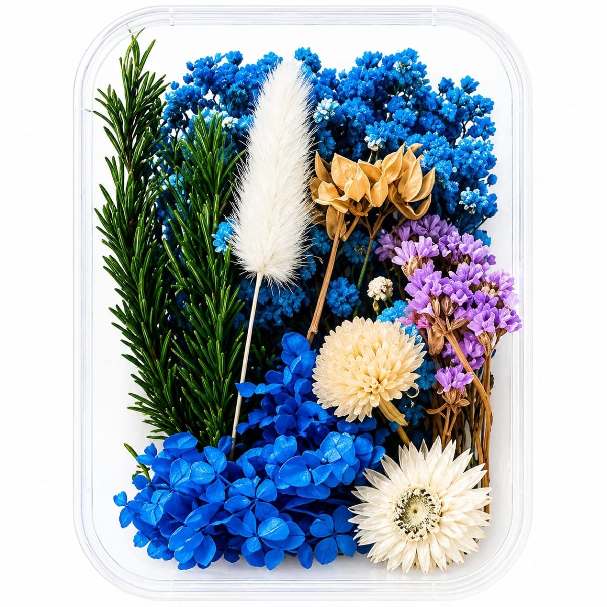 Bakewareind Dried Natural Flower Box, { Select Color } - Bakeware India