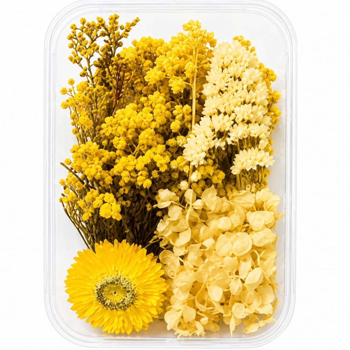Bakewareind Dried Natural Flower Box, { Select Color } - Bakeware India
