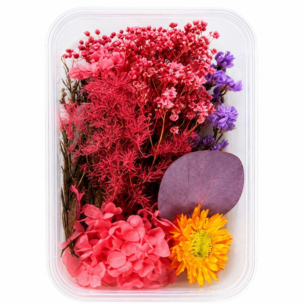 Bakewareind Dried Natural Flower Box, { Select Color } - Bakeware India