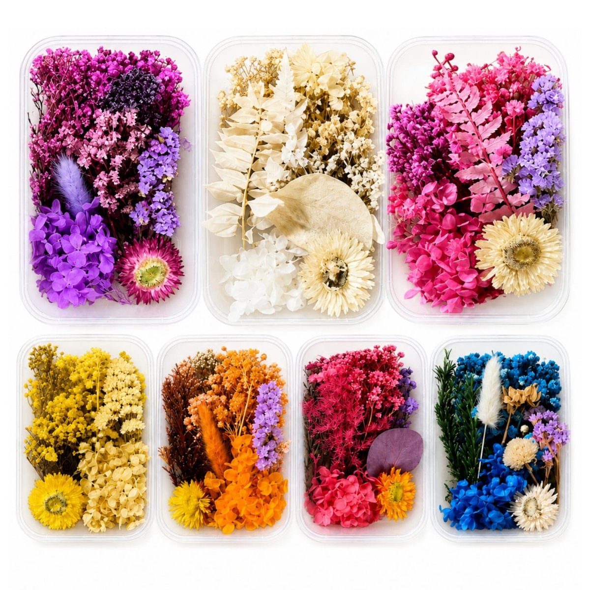 Bakewareind Dried Natural Flower Box, { Select Color } - Bakeware India