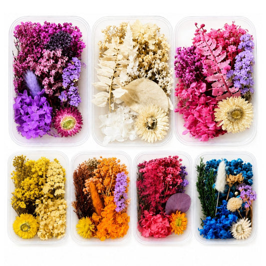 Bakewareind Dried Natural Flower Box, { Select Color } - Bakeware India