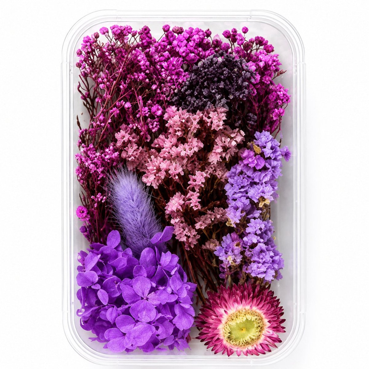 Bakewareind Dried Natural Flower Box, { Select Color } - Bakeware India