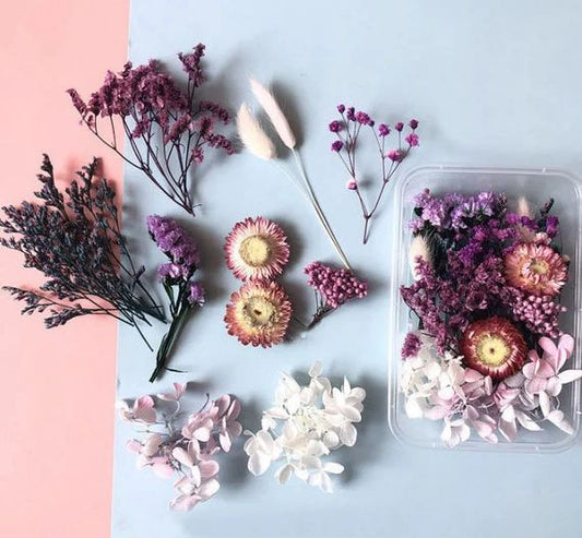 Bakewareind Dried Natural Flower Box, { Select Color } - Bakeware India